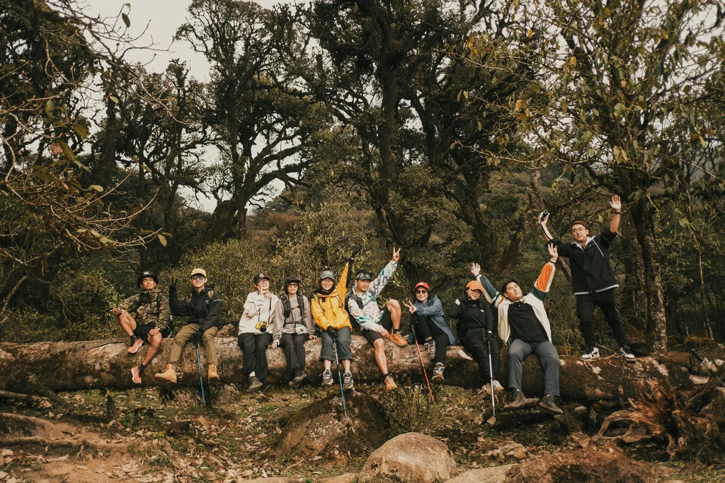Group Tours